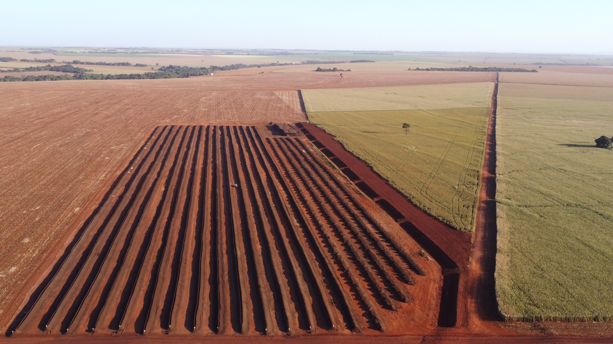 Vista aérea do pátio de leiras de compostagem Padrão Libertas entre lavouras