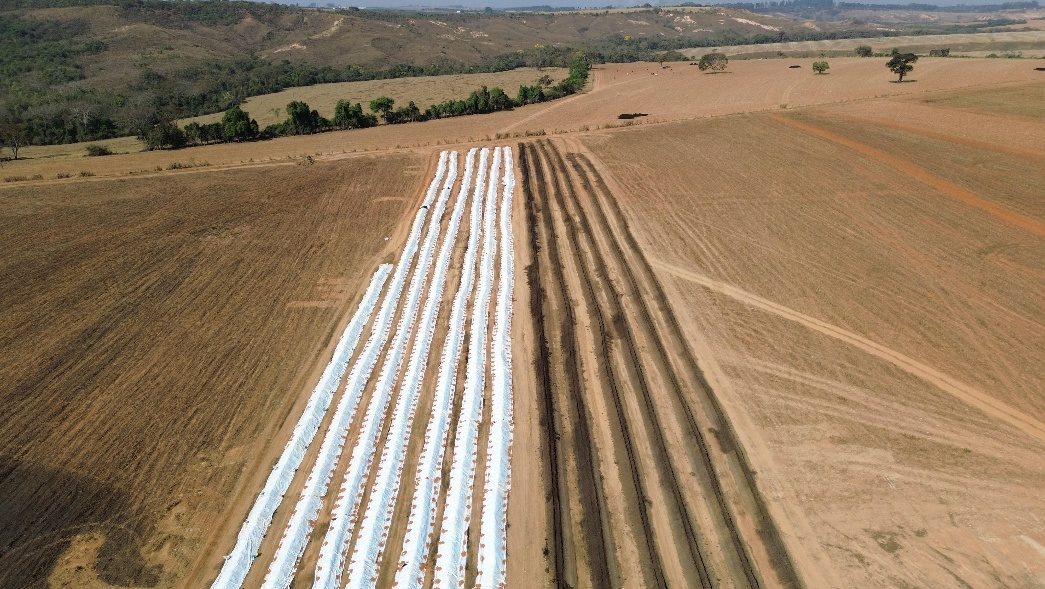 Leiras de compostagem no protocolo enlonado Libertas